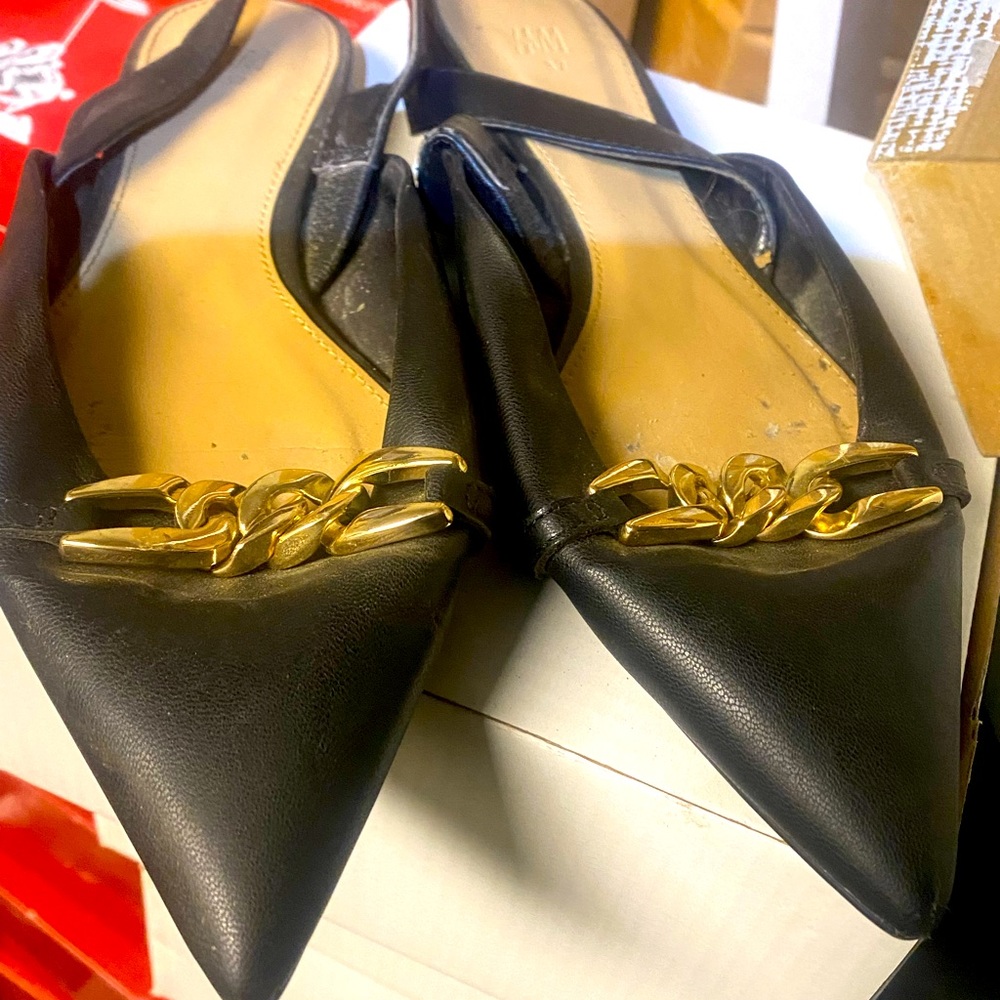 H&M Witch Pointed Toe Ballet Flats